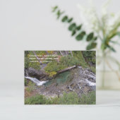 Narada Falls Postcard Postkarte (Stehend Vorderseite)