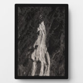 Narada Falls, WA Fotoplatte (Vorderseite)