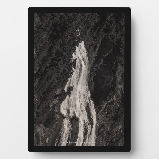 Narada Falls, WA Fotoplatte (Vorderseite)