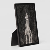 Narada Falls, WA Fotoplatte (Seite)