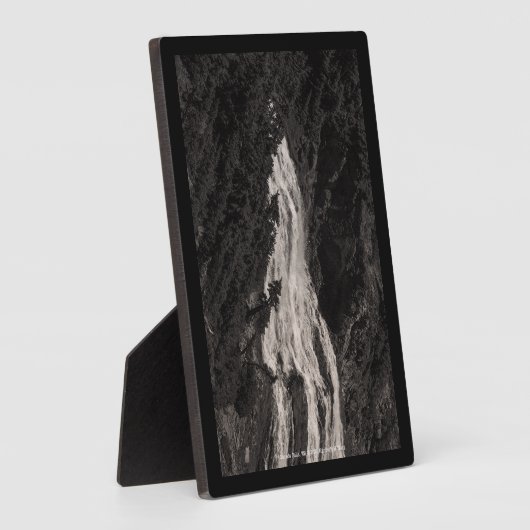 Narada Falls, WA Fotoplatte (Seite)