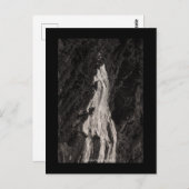 Narada Falls, WA Postkarte (Vorne/Hinten)