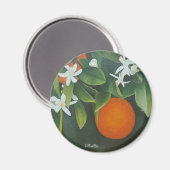 Naranjos de Sevilla, SPAIN Magnet (Vorderseite/Rückseite)