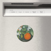 Naranjos de Sevilla, SPAIN Magnet (In Situ (Geschirrspüler))