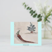 Narben oder Karotten Postkarte (Stehend Vorderseite)