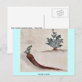 Narben oder Karotten Postkarte (Vorne/Hinten)