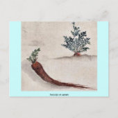 Narben oder Karotten Postkarte (Vorderseite)