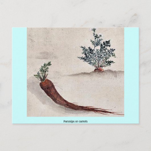 Narben oder Karotten Postkarte (Vorderseite)
