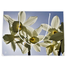Narcissen die bloeien met een lente blauwe lucht große geschenktüte