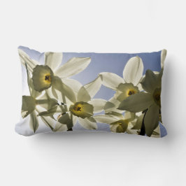 Narcissen die bloeien met een lente blauwe lucht  lendenkissen