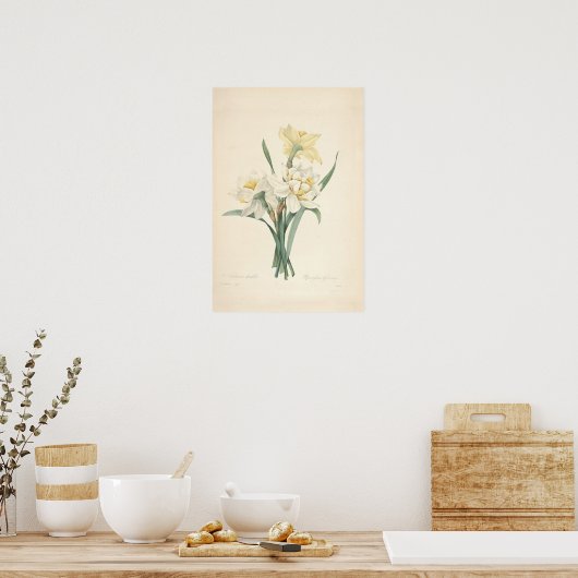 Narcissus Canvas Print Poster (Küche)