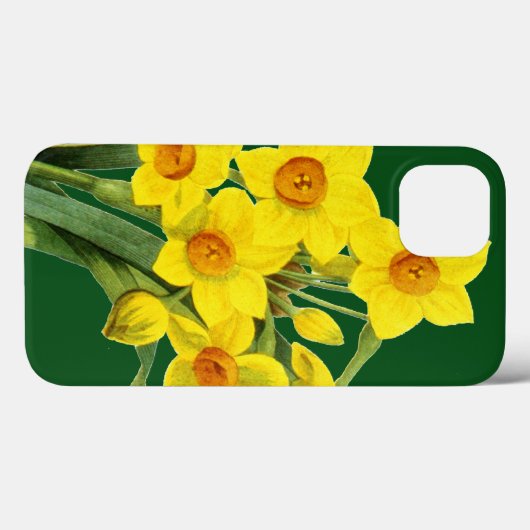 Narcissus Case-Mate iPhone Hülle (Rückseite (Horizontal))