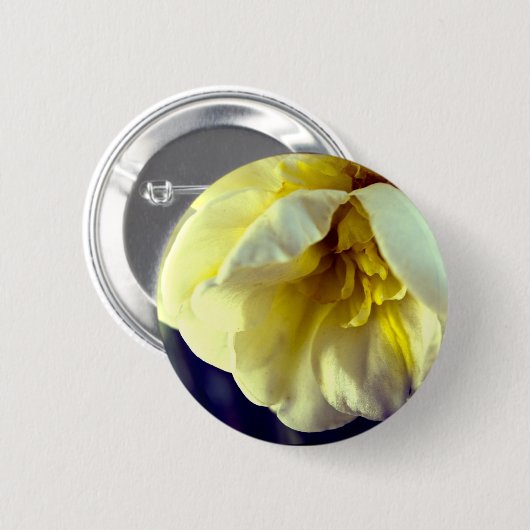 Narcissus Daffodil Button (Vorne & Hinten)