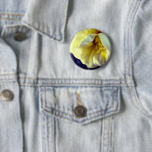Narcissus Daffodil Button (Beispiel)