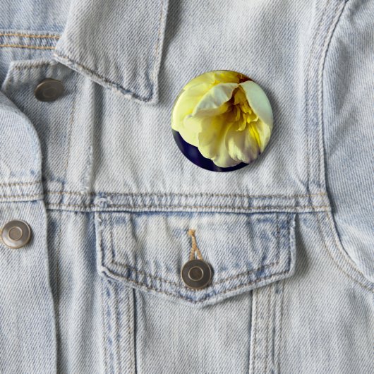 Narcissus Daffodil Button (Beispiel)