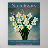 Narcissus Dezember Birth Blume Qualität Poster (Vorne)