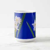 Narcissus Frühjahrs-Tasse Kaffeetasse (Mittel)