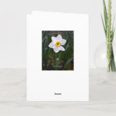 Narcissus Happy Birthday Karte (Rückseite)