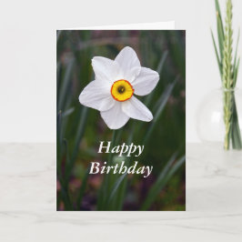 Narcissus Happy Birthday Karte