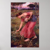 Narcissus Picking Blume Poster (Vorne)
