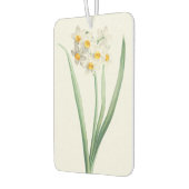 Narcissus, Pierre-Joseph Redouté, 1805 Autolufterfrischer (Links)