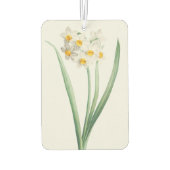 Narcissus, Pierre-Joseph Redouté, 1805 Autolufterfrischer (Rückseite)