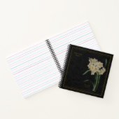 Narcissus tazetta or Chinese sacred Lily Black Notizblock (Innenseite)