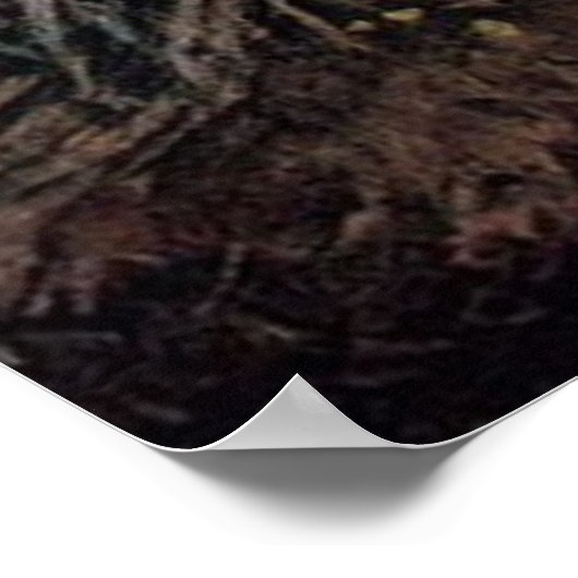 Narcissus von John William Waterhouse - 1912 Poster (Ecke)