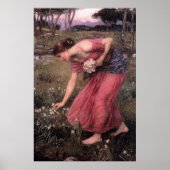Narcissus von John William Waterhouse - 1912 Poster (Vorne)