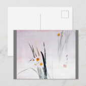 Narcissus, Watanabe Seitei Postkarte (Vorne/Hinten)