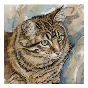 Nari - Eine Studie meiner Katze Poster