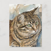 Nari - Eine Studie meiner Katze Postkarte (Vorderseite)