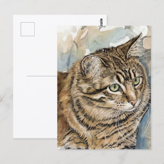 Nari - Eine Studie meiner Katze Postkarte (Vorne/Hinten)