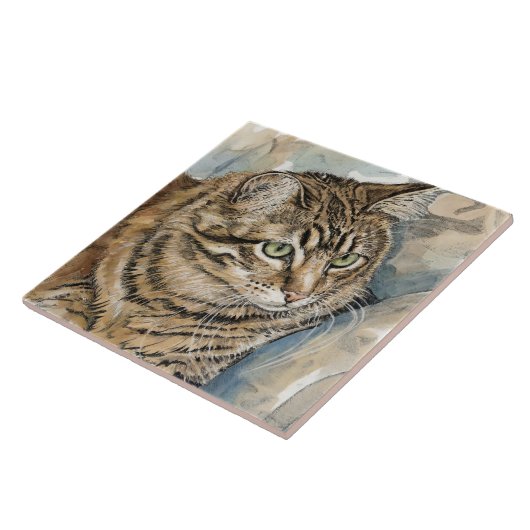 Nari - Eine Studie über meine Katze Fliese (Seite)