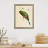 Narina Trogon Poster (Küche)