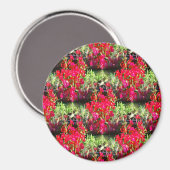 Narnelenreihen.... Magnet (Vorderseite/Rückseite)