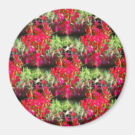 Narnelenreihen.... Magnet