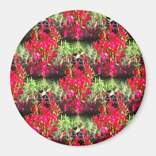 Narnelenreihen.... Magnet (Vorne)