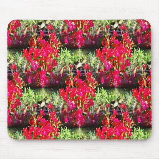 Narnelenreihen.... Mousepad (Vorne)