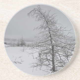 Narnia Getränkeuntersetzer