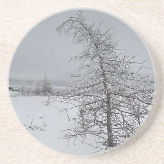 Narnia Getränkeuntersetzer (Vorne)