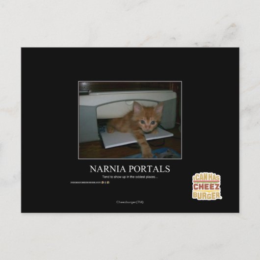 Narnia Portals Postkarte (Vorderseite)