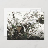 ((((narrative))) postkarte (Vorne/Hinten)