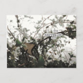 ((((narrative))) postkarte (Vorderseite)