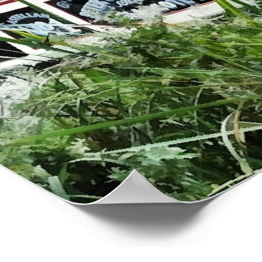 NARROWBOATS POSTER (Ecke)