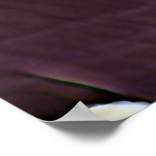 NARROWBOATS POSTER (Ecke)