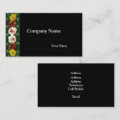 NARROWBOATS VISITENKARTE (Vorne/Hinten)