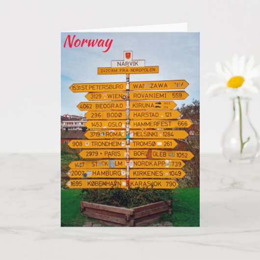 Narvik, Norwegen Karte (Kleine Pflanze)