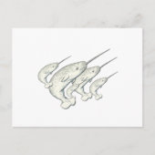 Narwale Postkarte (Vorderseite)