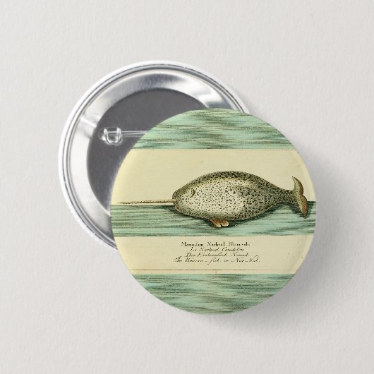 Narwhal Antique Whale Aquarellmalerei Button (Vorne & Hinten)